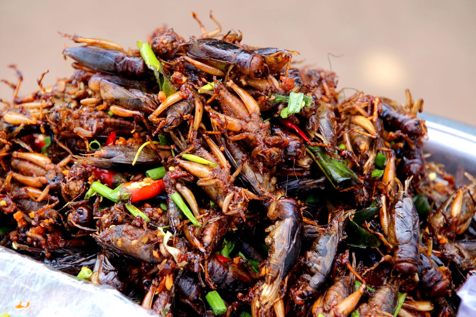 Canon EOS 80D sample photo. Cockroaches, salad, chili photography