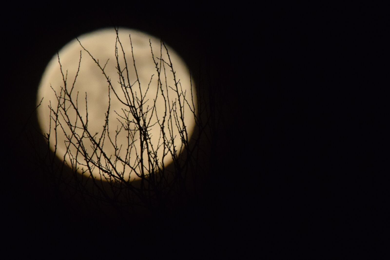 Nikon D5300 sample photo. Moon, full moon, moonlight photography
