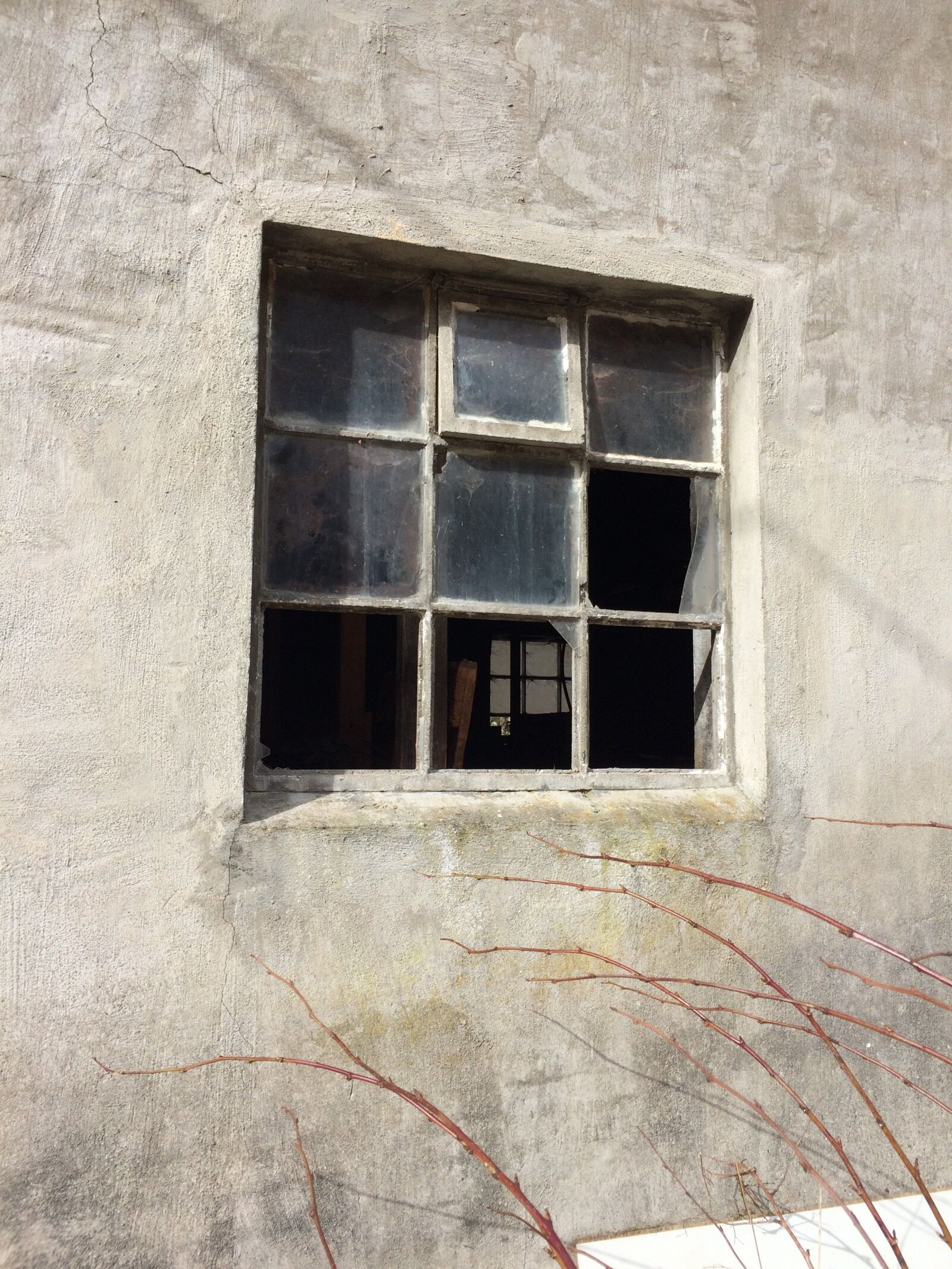 Apple iPhone 5s sample photo. Food, hordaland, sunnhordland photography