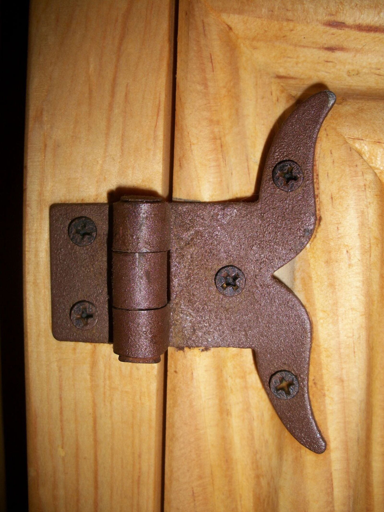Kodak EASYSHARE M340 DIGITAL CAMERA sample photo. Hinge, iron, wrought photography
