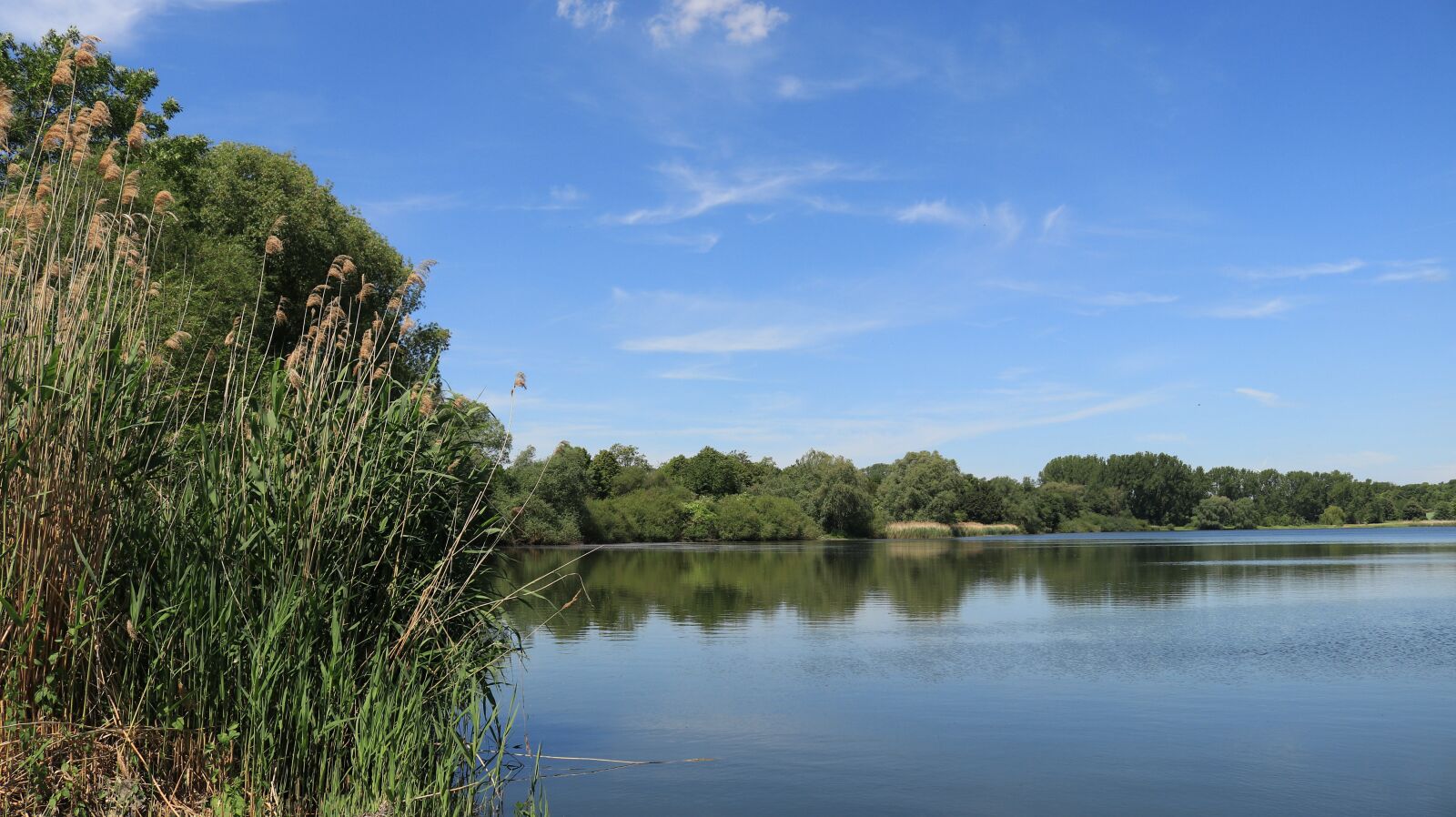 Canon EOS 80D sample photo. Nature, lake, water photography