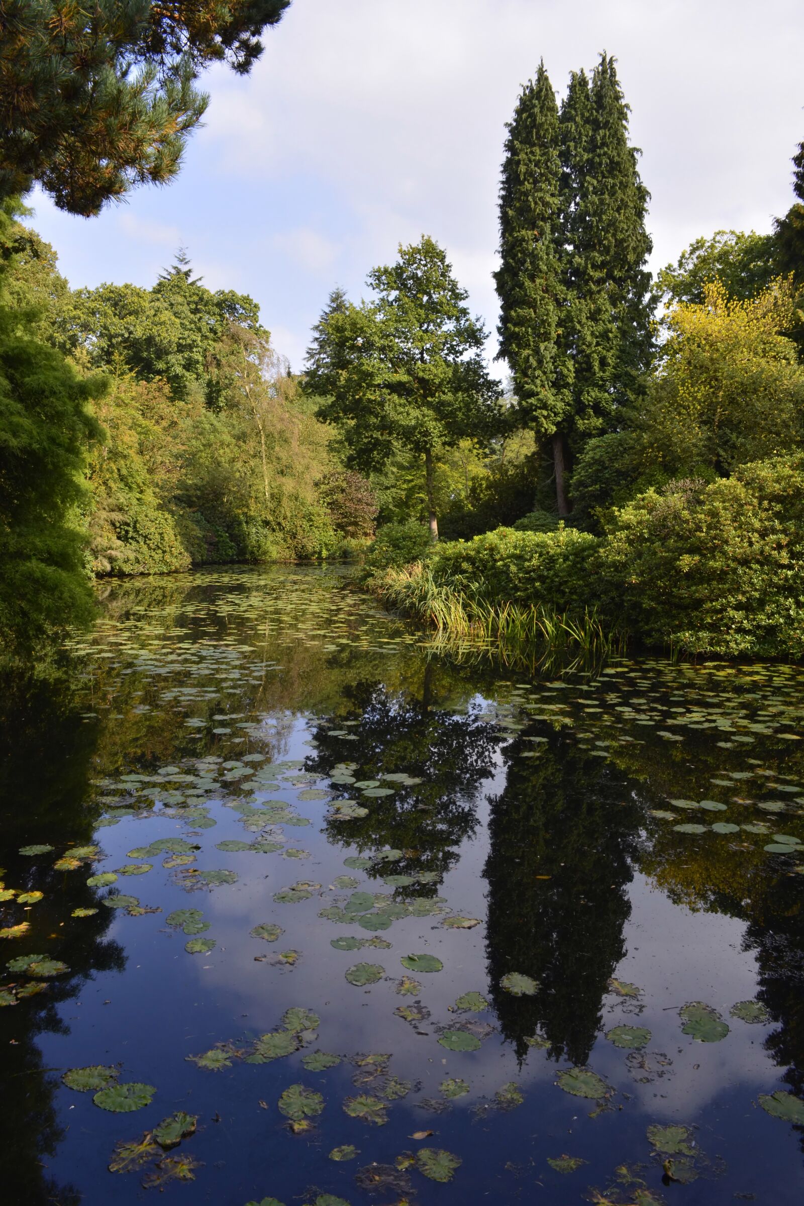 Nikon D5200 sample photo. Landscape, trees, water photography
