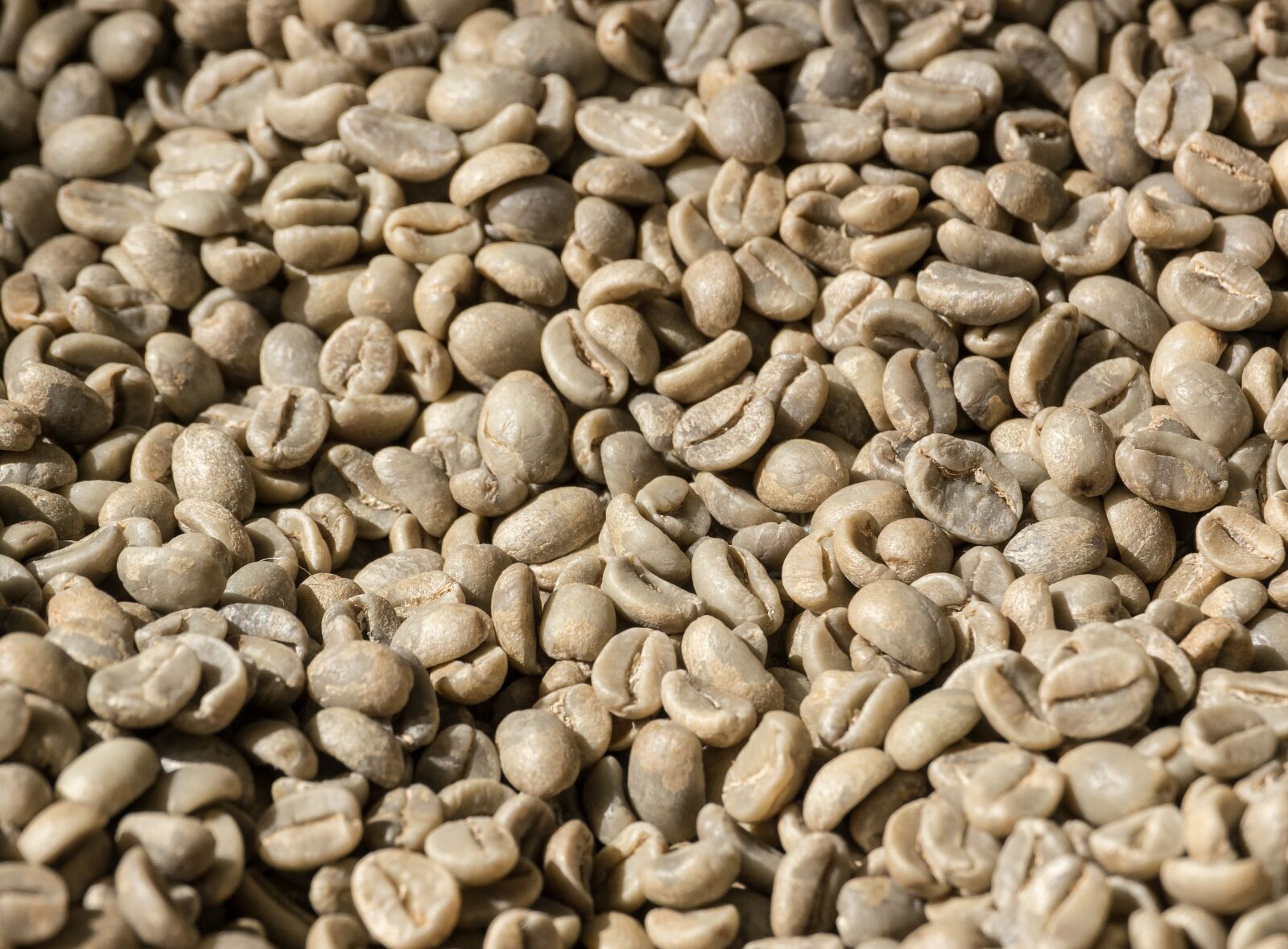Panasonic Lumix DMC-GH2 sample photo. Coffee, coffee beans, beans photography