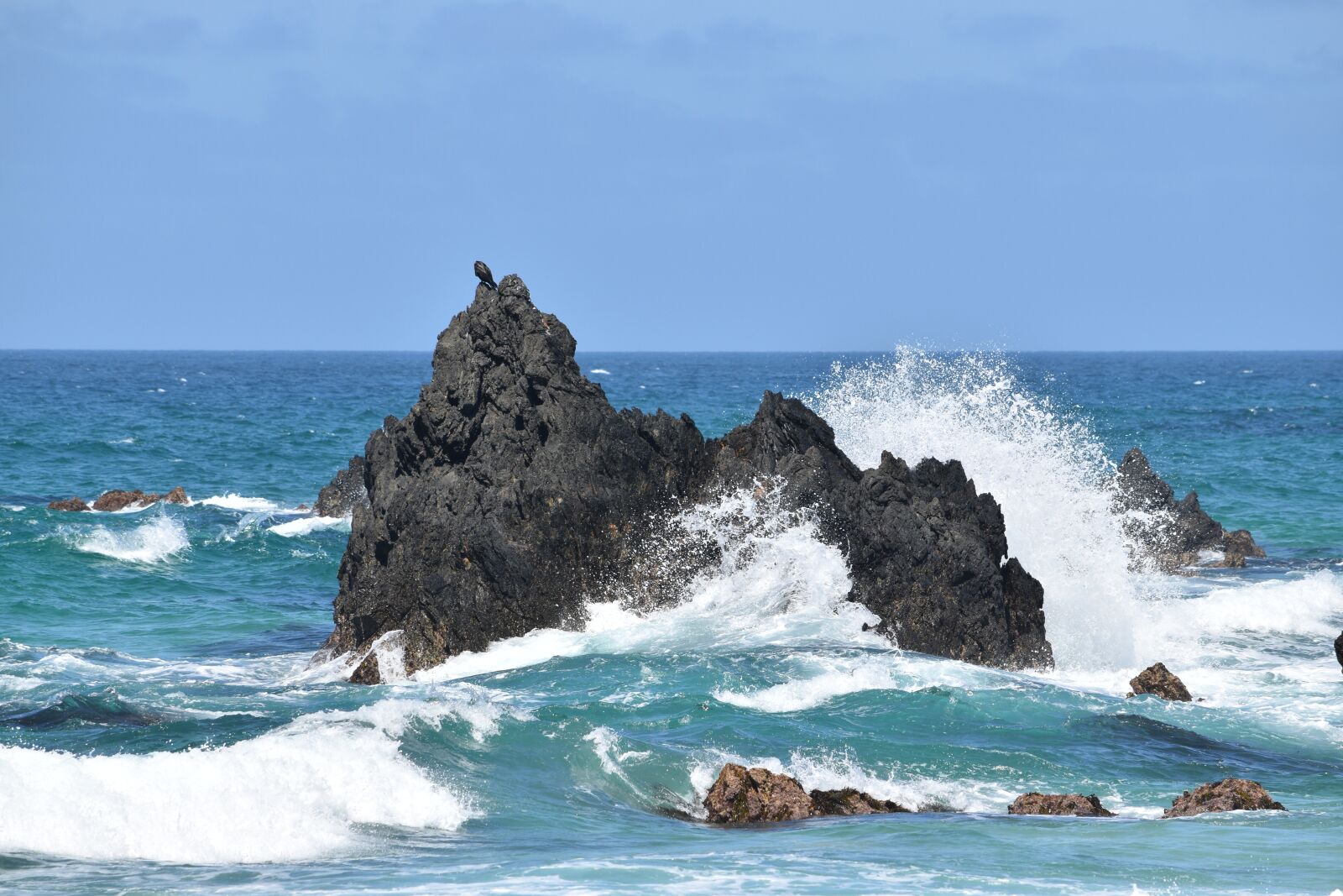 Nikon D5600 sample photo. Rock, waves, bird on photography