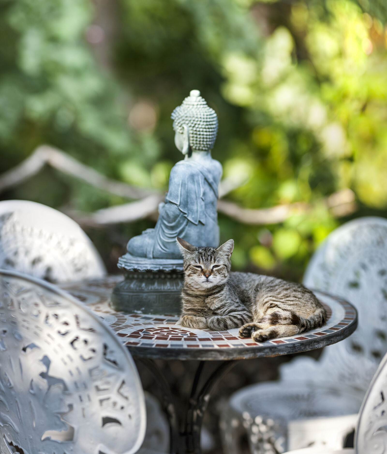 Canon EF 135mm F2L USM sample photo