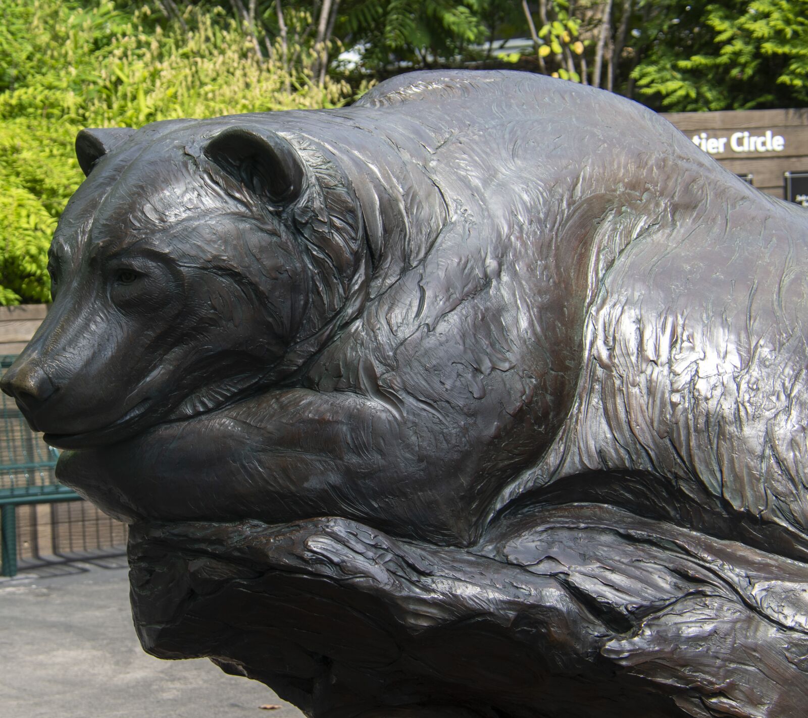 Nikon D850 sample photo. Bear, statue, sculpture photography