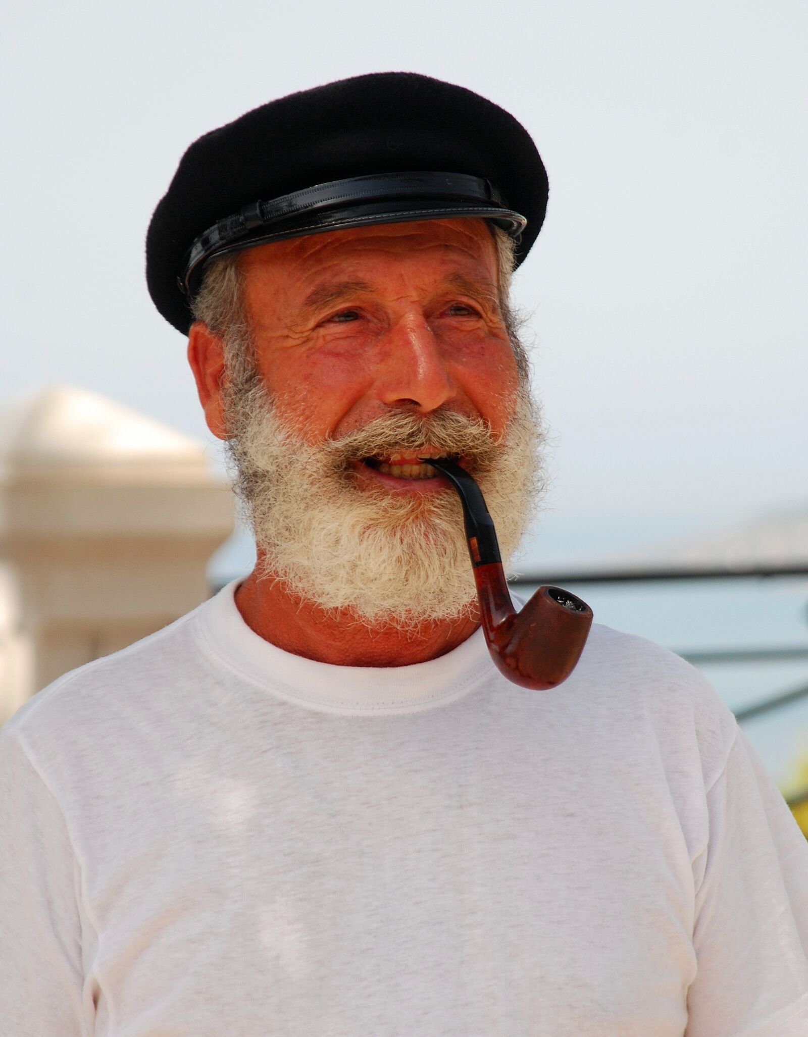 Nikon D80 sample photo. Heroes, captain, wolf photography