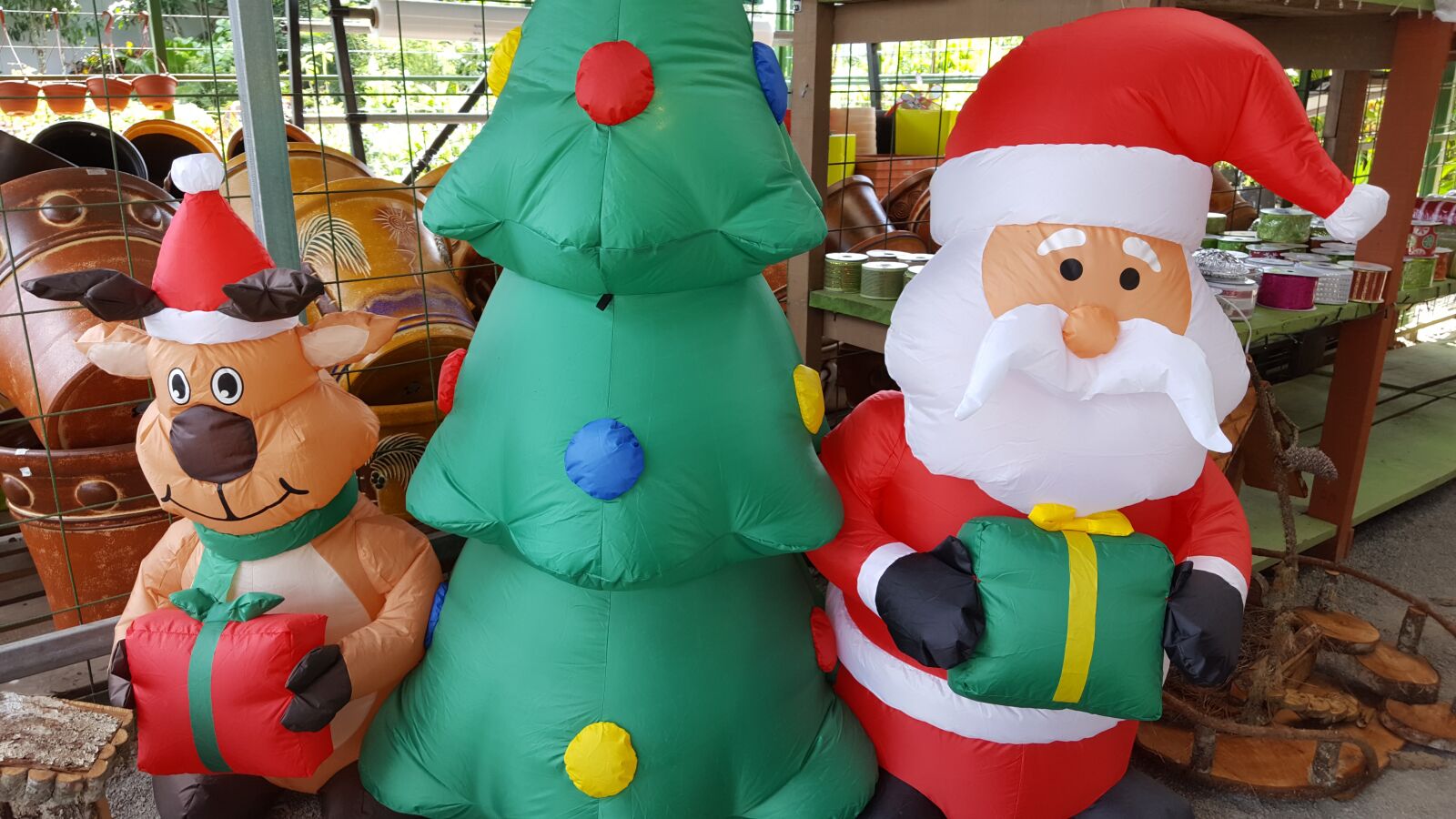 Samsung GALAXY S6 edge sample photo. Christmas, reno, st photography