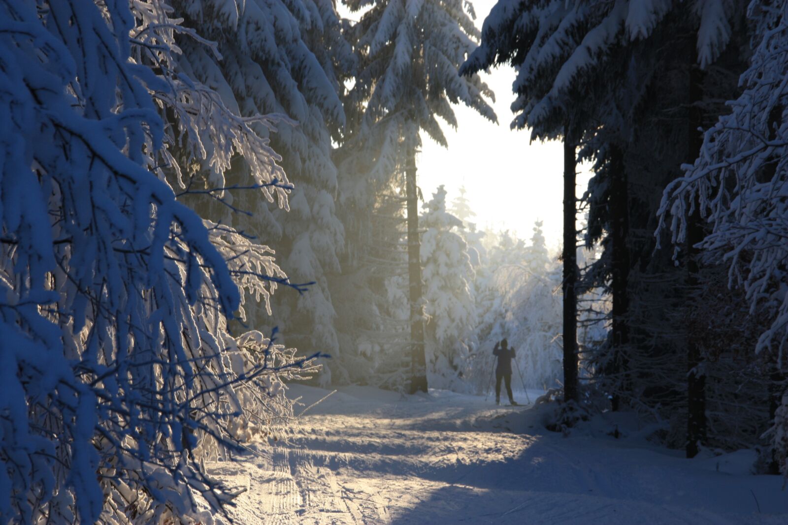 Canon EOS 450D (EOS Rebel XSi / EOS Kiss X2) sample photo. Winter, ore mountains, snow photography