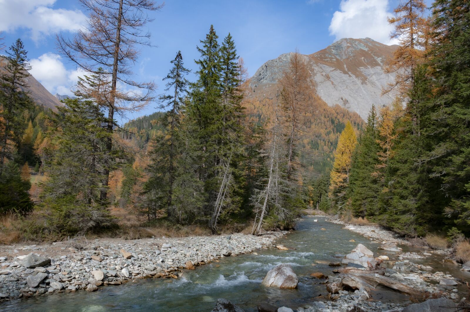 Nikon D300S sample photo. Alps, creek, nature photography