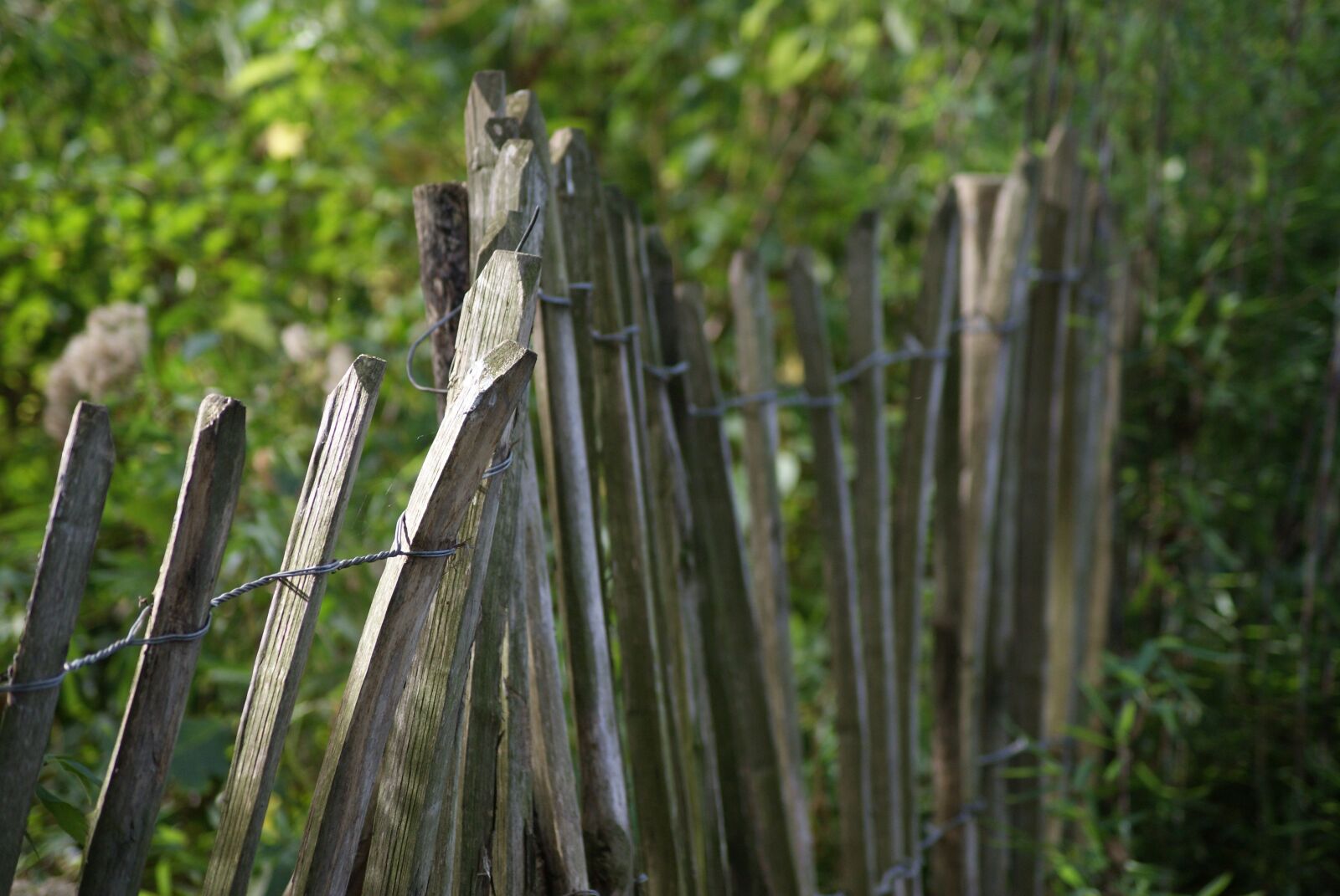 Sony Alpha DSLR-A200 sample photo. Wood fence, fence, weathered photography