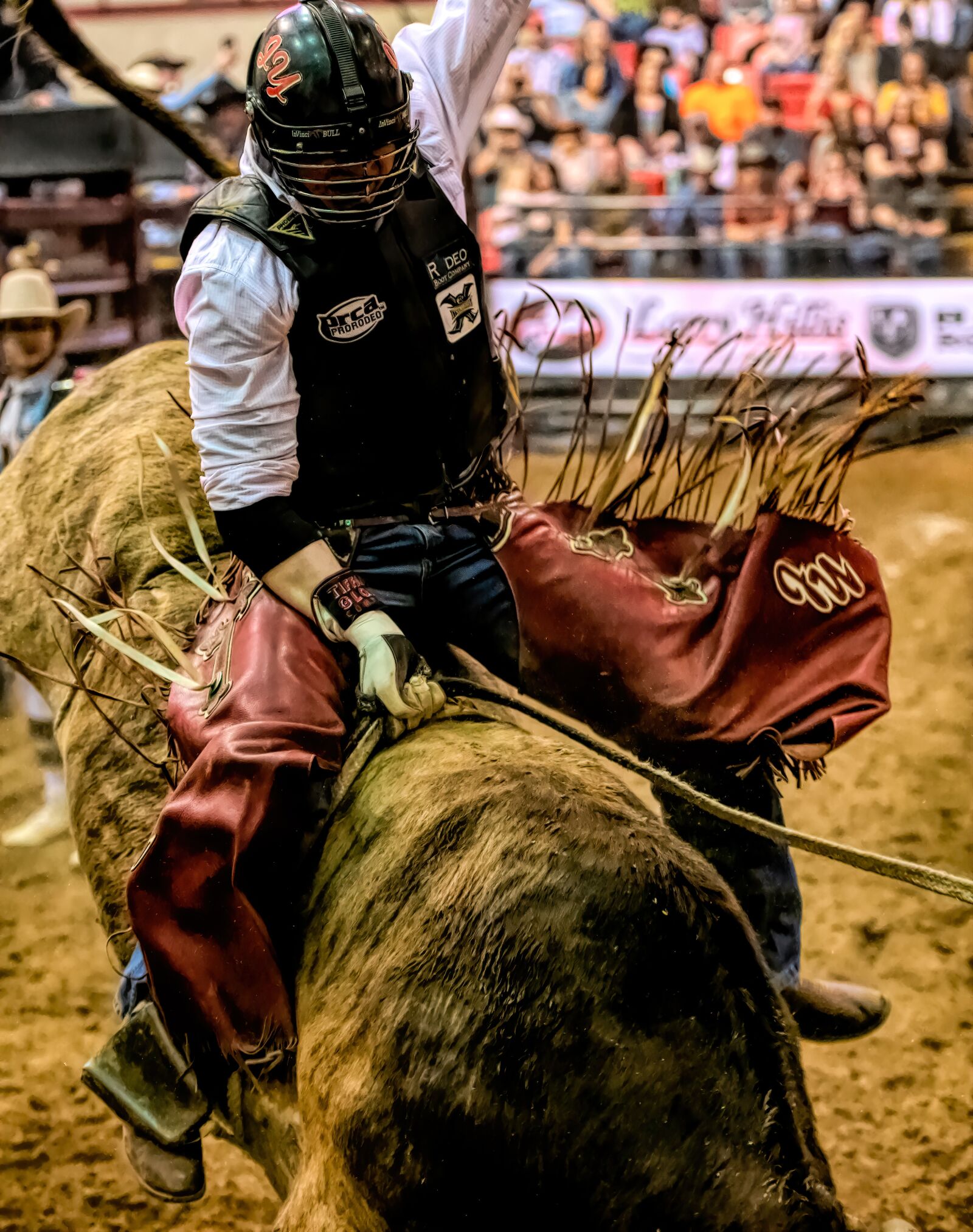 Nikon D850 sample photo. Bull rider, bull, rodeo photography