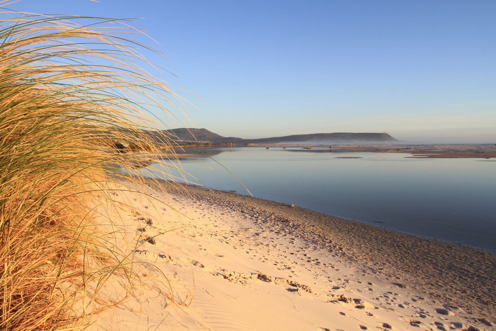 Canon EOS 7D sample photo. Grass, sand dune, beach photography
