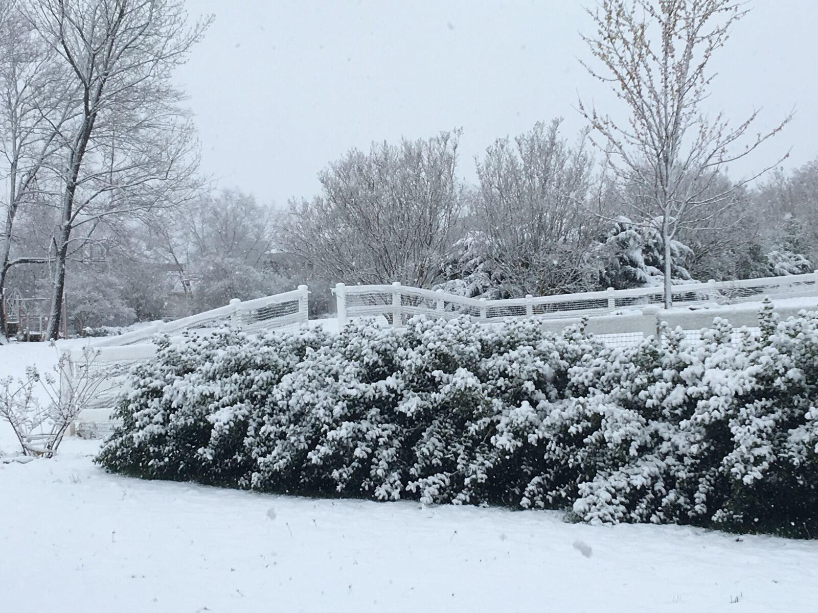 Apple iPhone 6s Plus sample photo. Snow, winter, snowfall photography