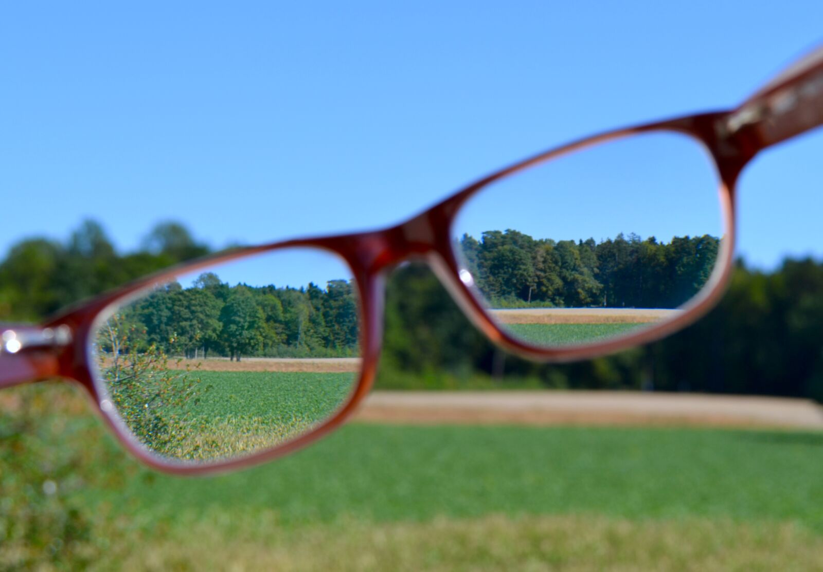 Nikon D3100 sample photo. Focus, glasses, landscape photography