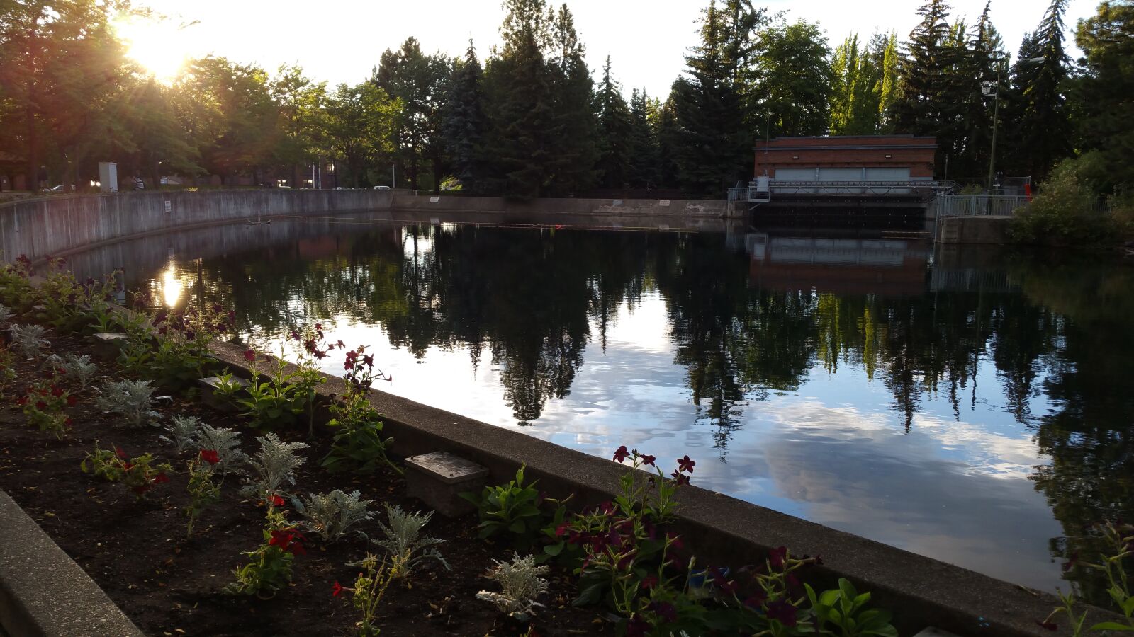 Samsung Galaxy Note4 sample photo. Flowers, nature, park, reflection photography