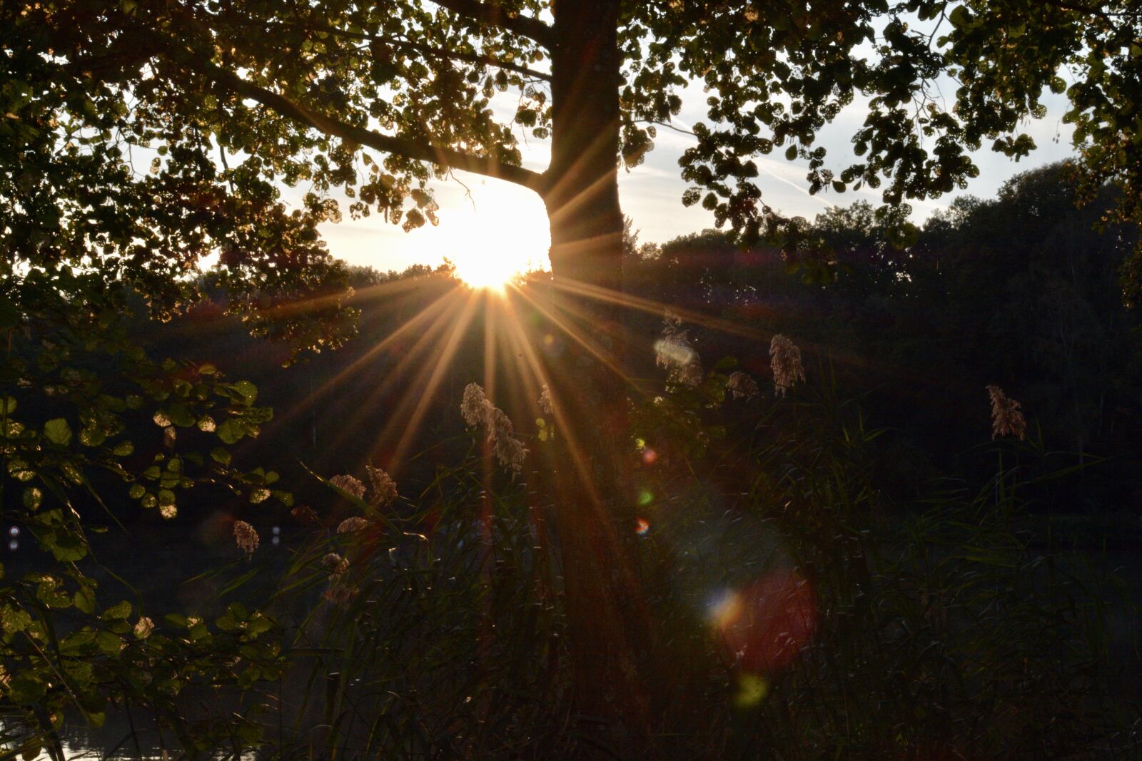 Nikon D7100 sample photo. Sunrise, lake, landscape photography