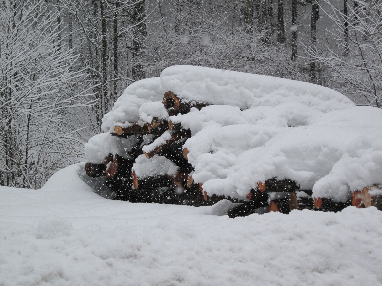 Canon PowerShot SD990 IS (Digital IXUS 980 IS / IXY Digital 3000 IS) sample photo. Winter snow, cold, idyllic photography