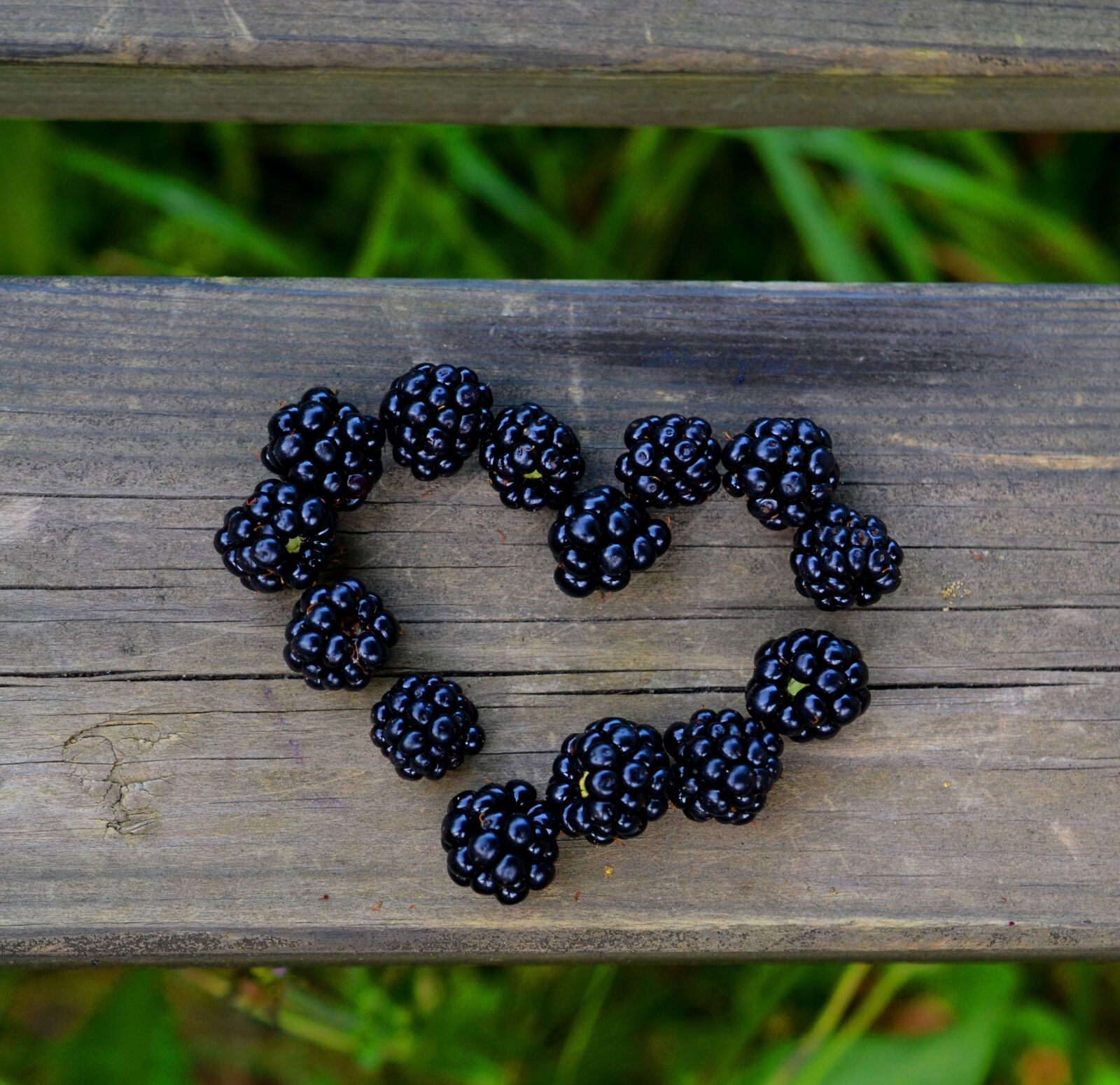 Nikon D3100 sample photo. Heart, blackberries, love photography