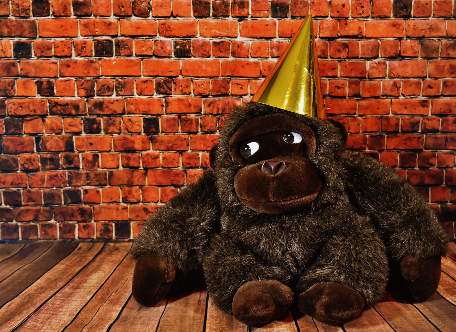 Nikon D7200 sample photo. Birthday, party, party hat photography
