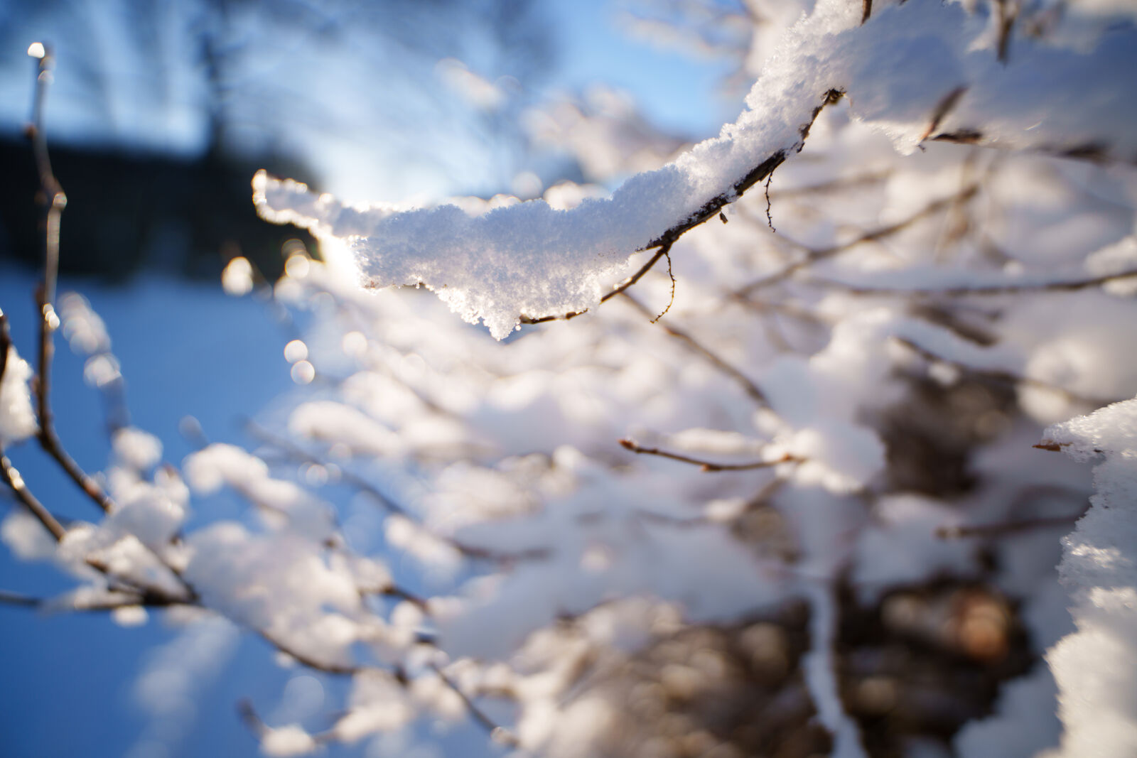Sigma 14mm F1.4 DG DN sample photo. Snow glimmer photography
