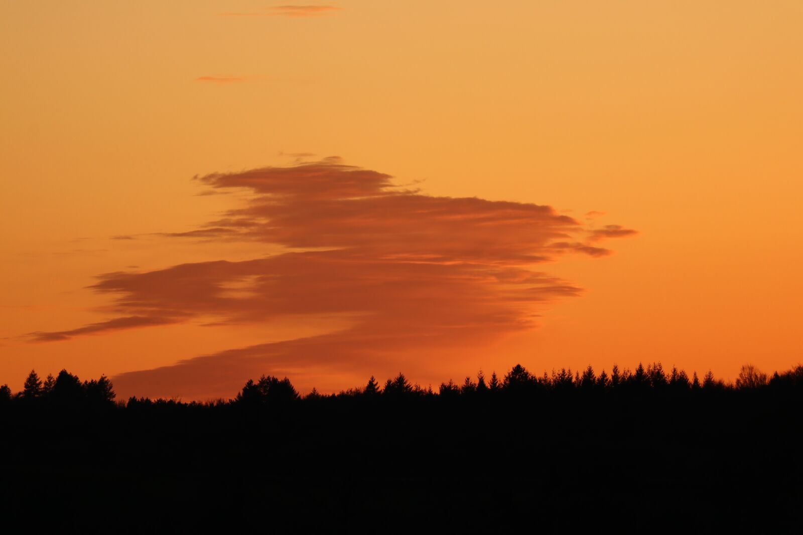 Canon EOS 80D sample photo. Sunset, shadows, fir photography