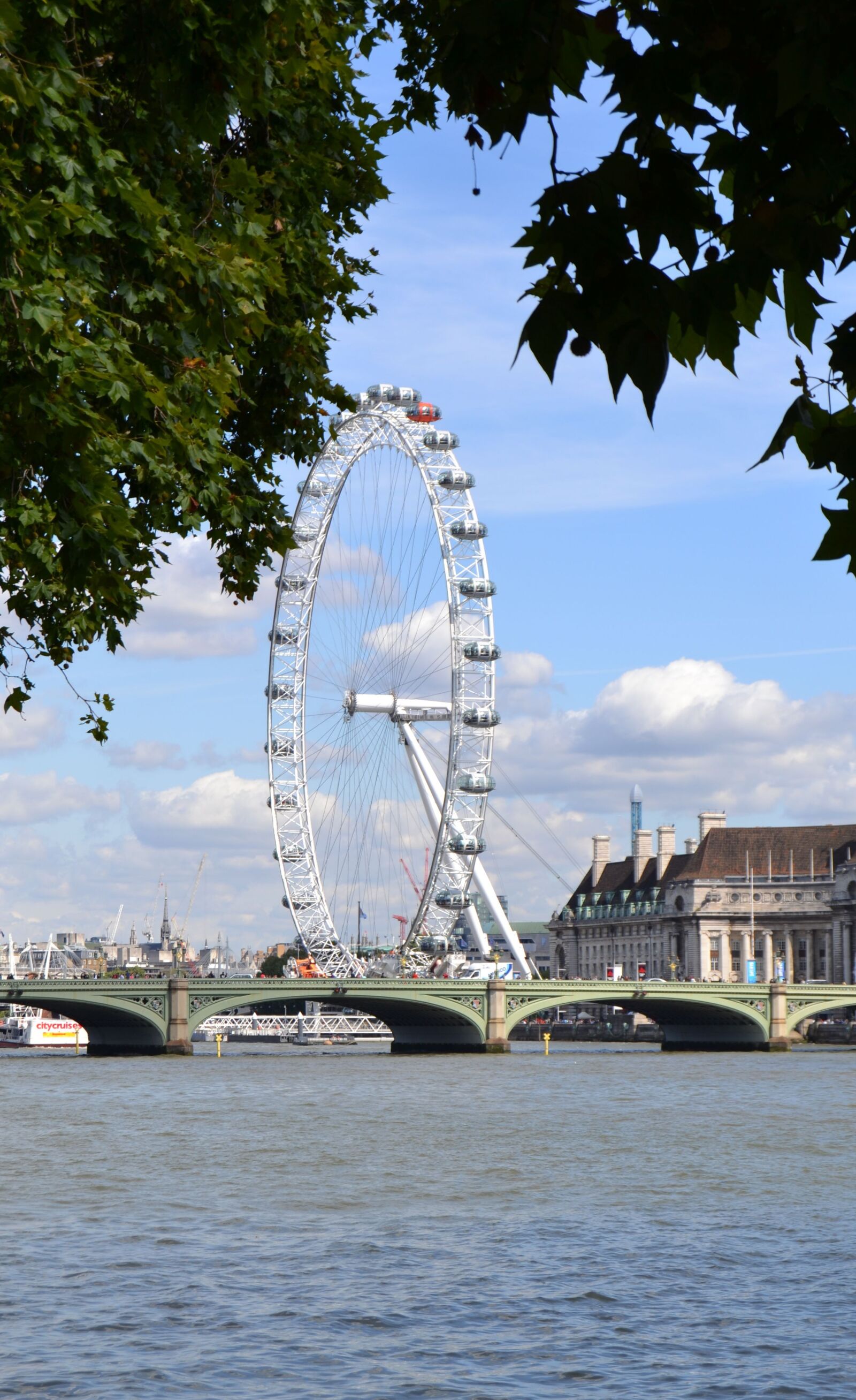 Nikon D3100 sample photo. England, london, london eye photography