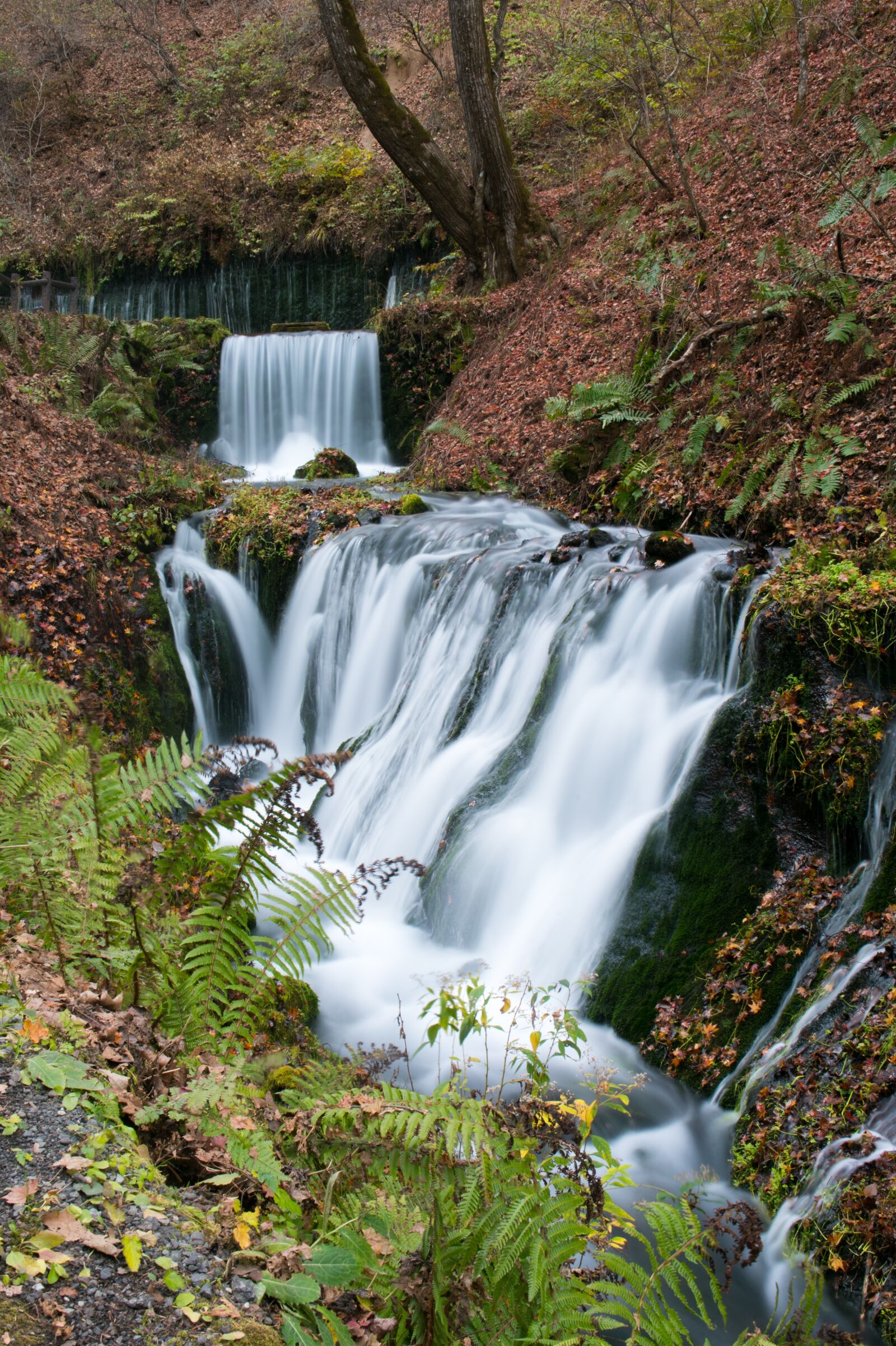 Nikon D750 sample photo. Waterfall, fall, water photography