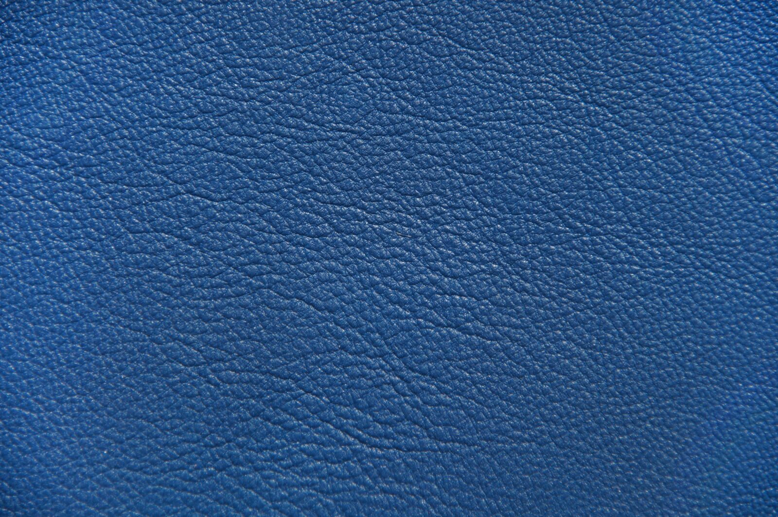 Sony SLT-A57 sample photo. Leather, blue, bluish photography