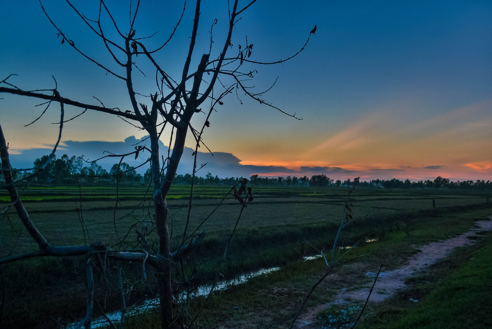 Nikon D5200 sample photo