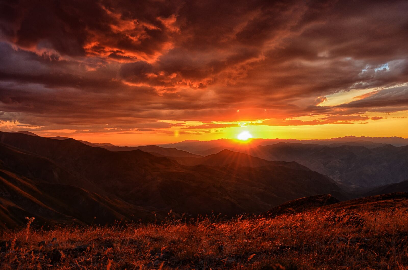 Nikon D5100 sample photo. Sunset, dawn, nature photography