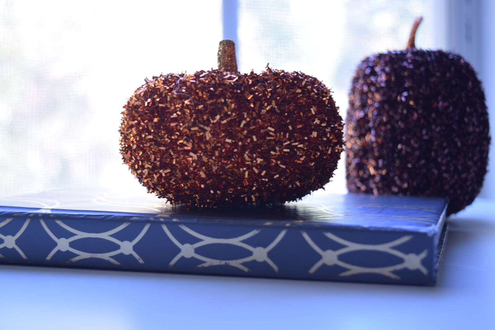 Nikon D3300 sample photo. Autumn, book, fall, pumpkin photography