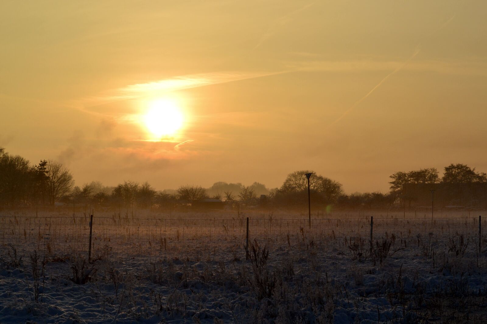 Nikon D3100 sample photo. Winter, frost, snow photography