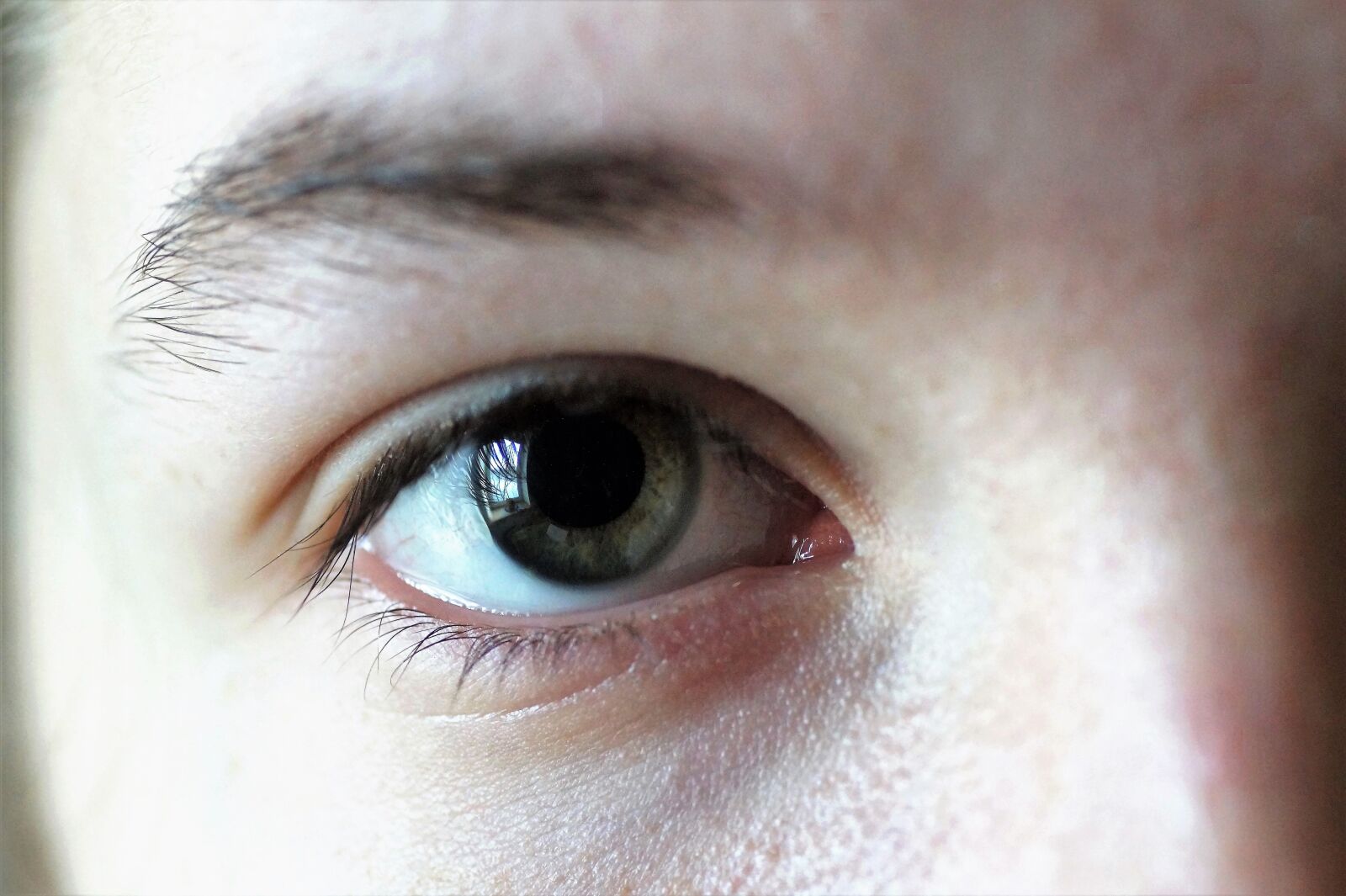 Sony SLT-A58 sample photo. Eye, iris, doll photography