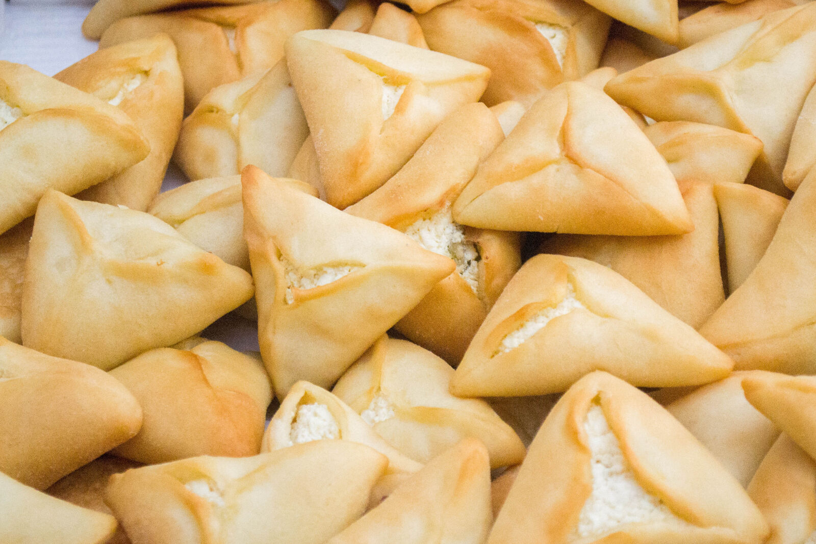 Nikon D3100 sample photo. Assado, comida, food, pastel photography