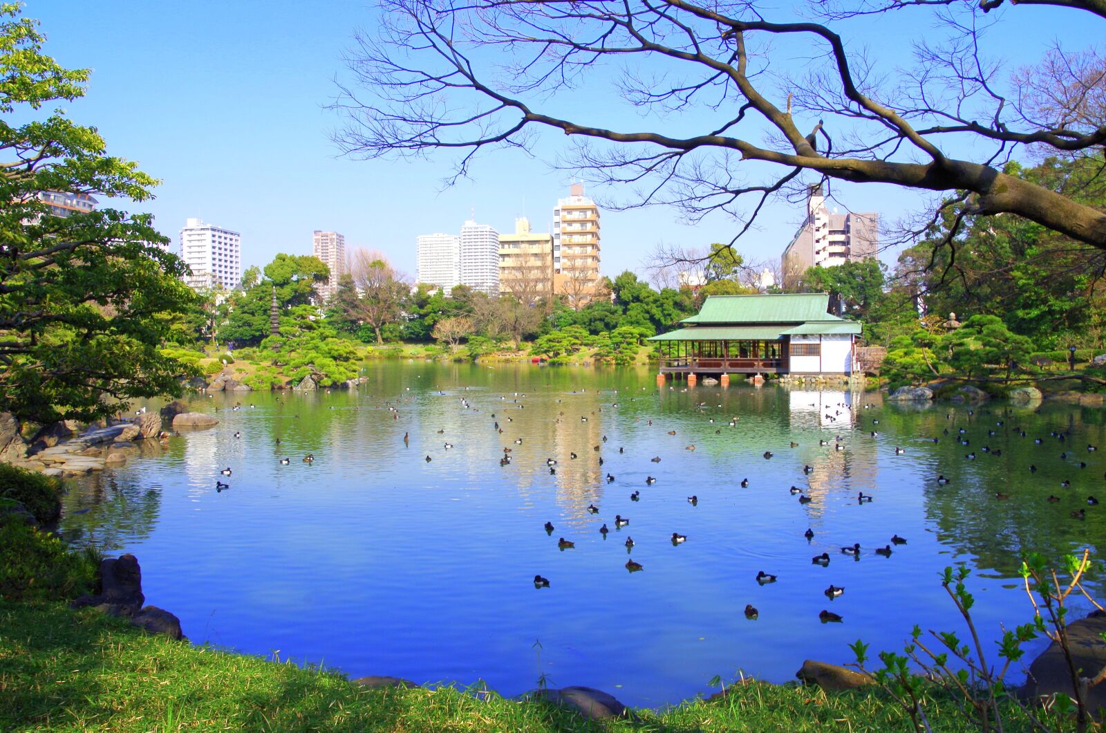 Pentax K-30 sample photo. 清澄庭園, lake, japan photography
