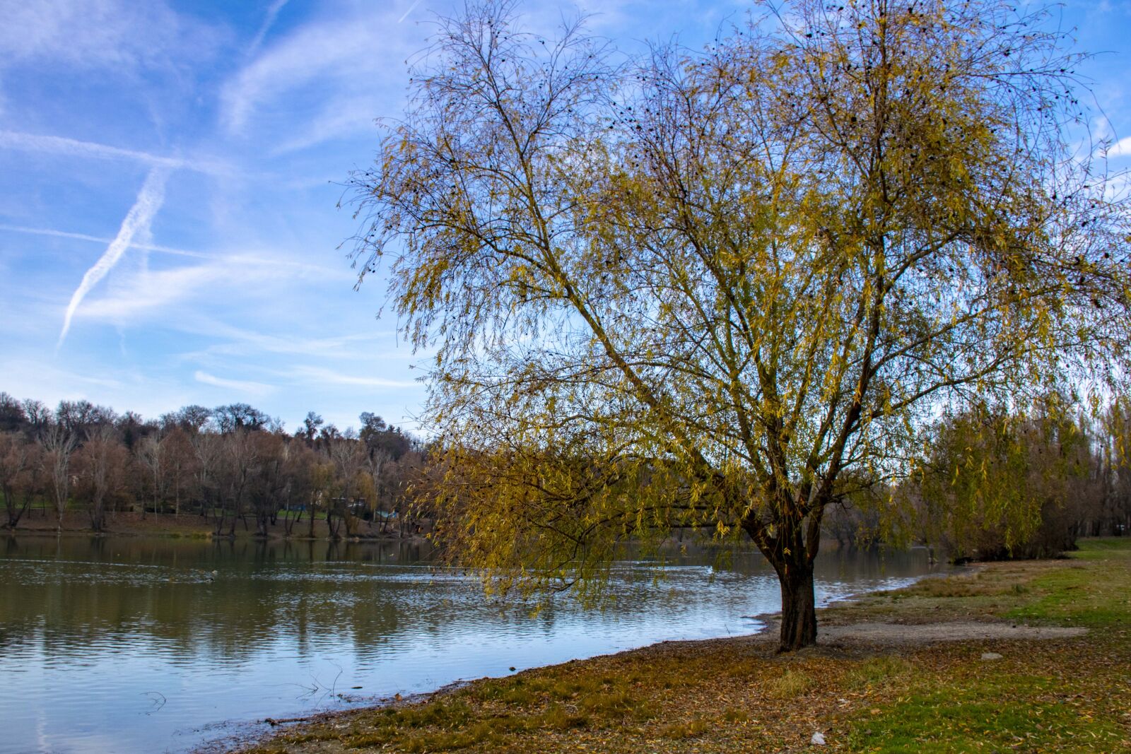 Nikon D5300 sample photo. Lake, water, nature photography
