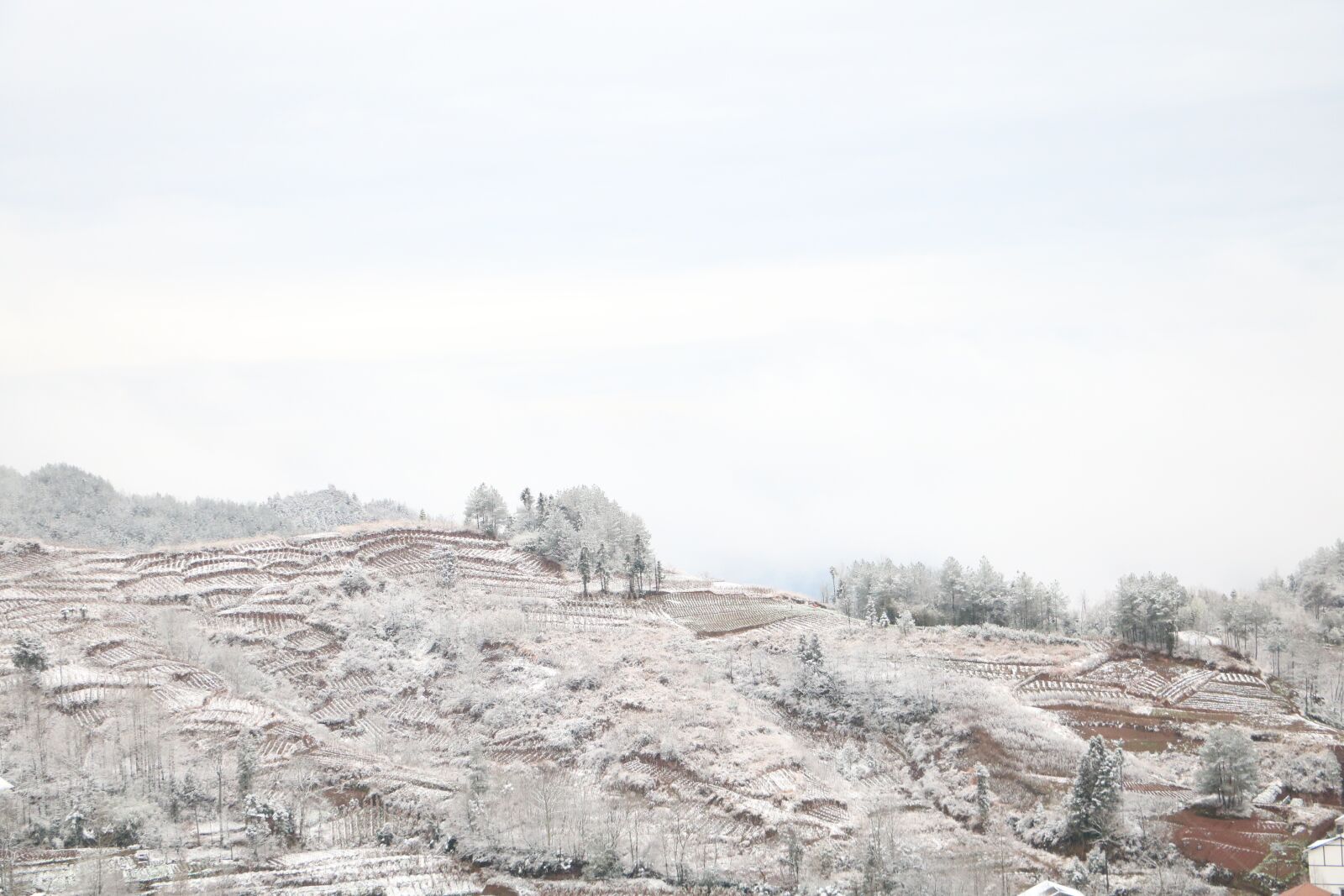 Canon EOS 760D (EOS Rebel T6s / EOS 8000D) + Canon EF-S 18-135mm F3.5-5.6 IS STM sample photo. Snow, winter, white photography