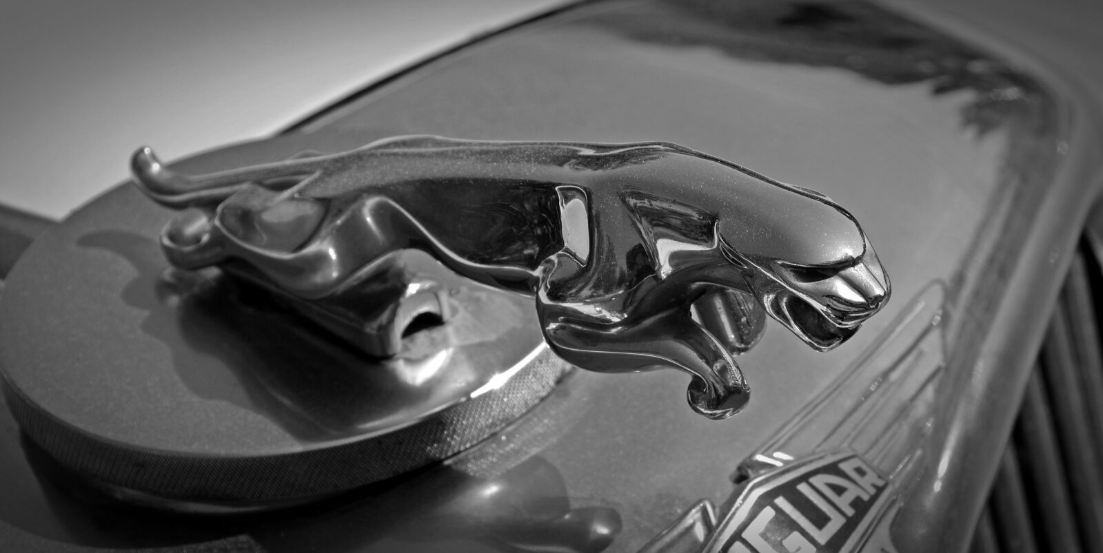 Nikon D5200 sample photo. Oldtimer, jaguar, cool figure photography