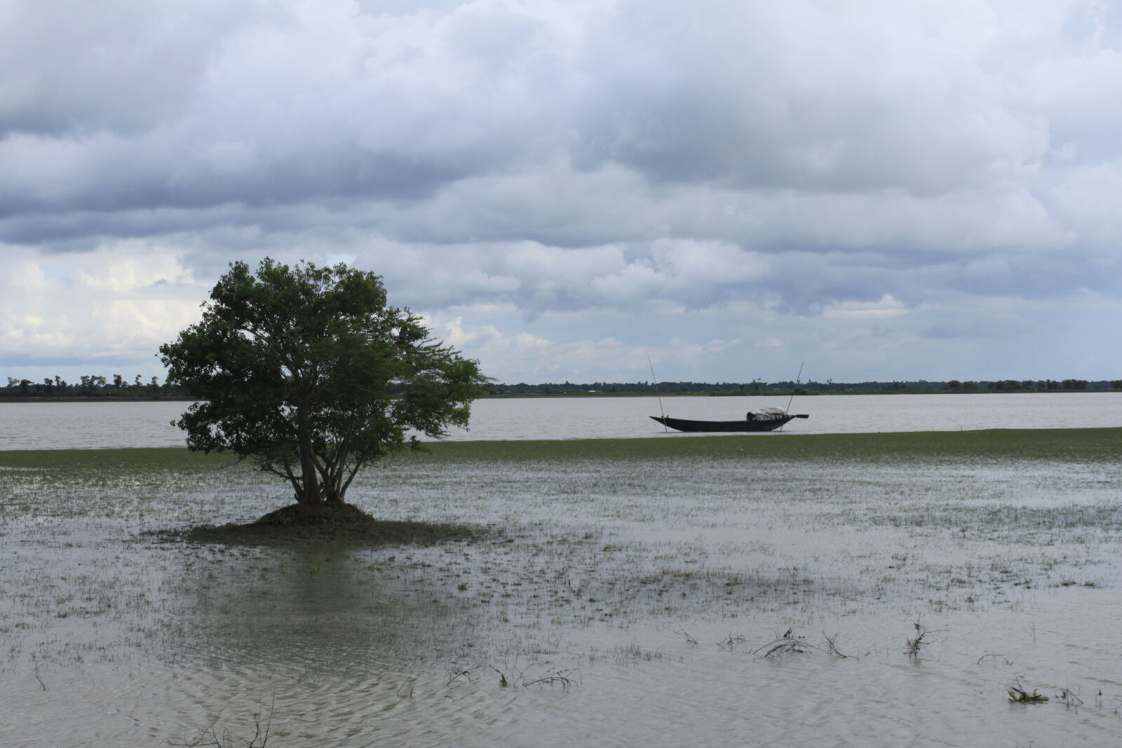Canon EOS 500D (EOS Rebel T1i / EOS Kiss X3) sample photo. Bangladesh, canal, fisherman, flower photography