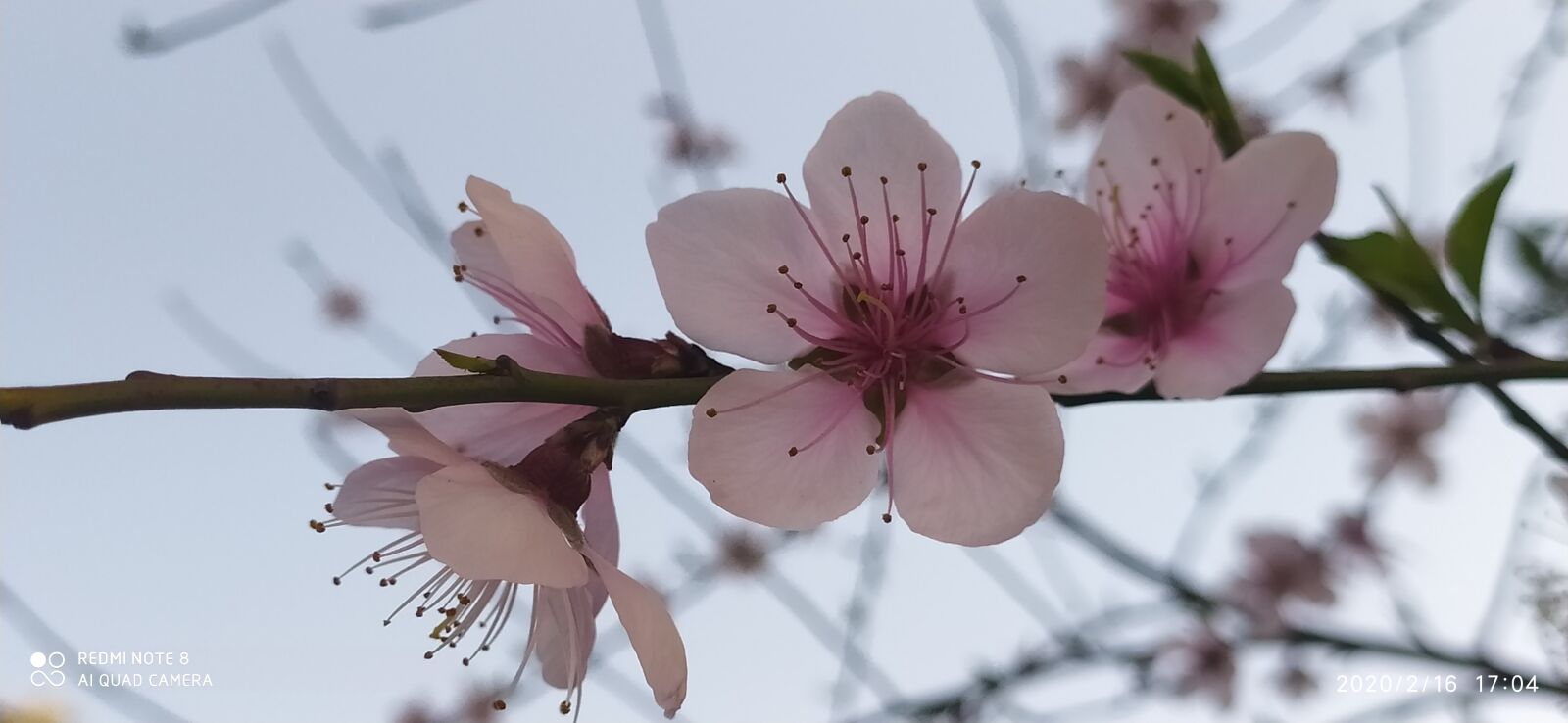 Xiaomi Redmi Note 8 sample photo. Ramadan kareem, ramadan mubarak photography
