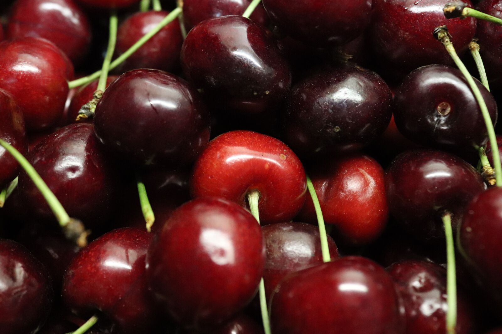 Canon EOS 200D (EOS Rebel SL2 / EOS Kiss X9) sample photo. Cherries, cherry, red photography