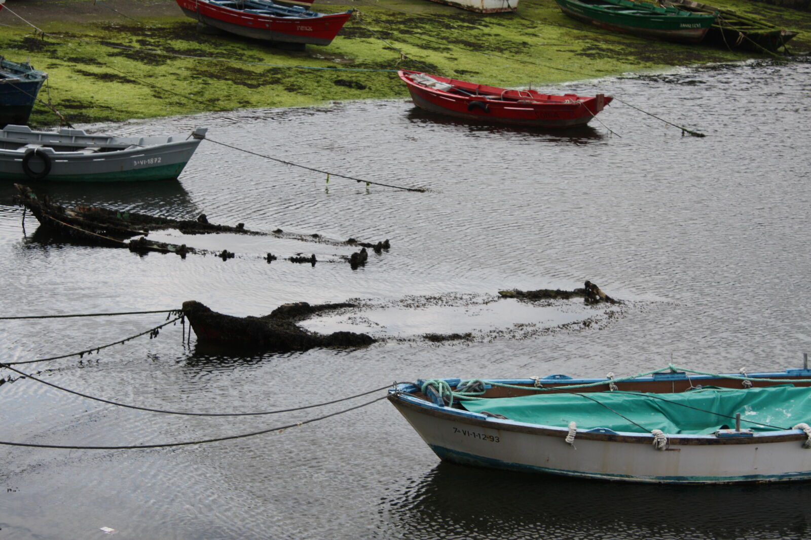 Canon EOS 450D (EOS Rebel XSi / EOS Kiss X2) sample photo. Boats, galicia, mar photography
