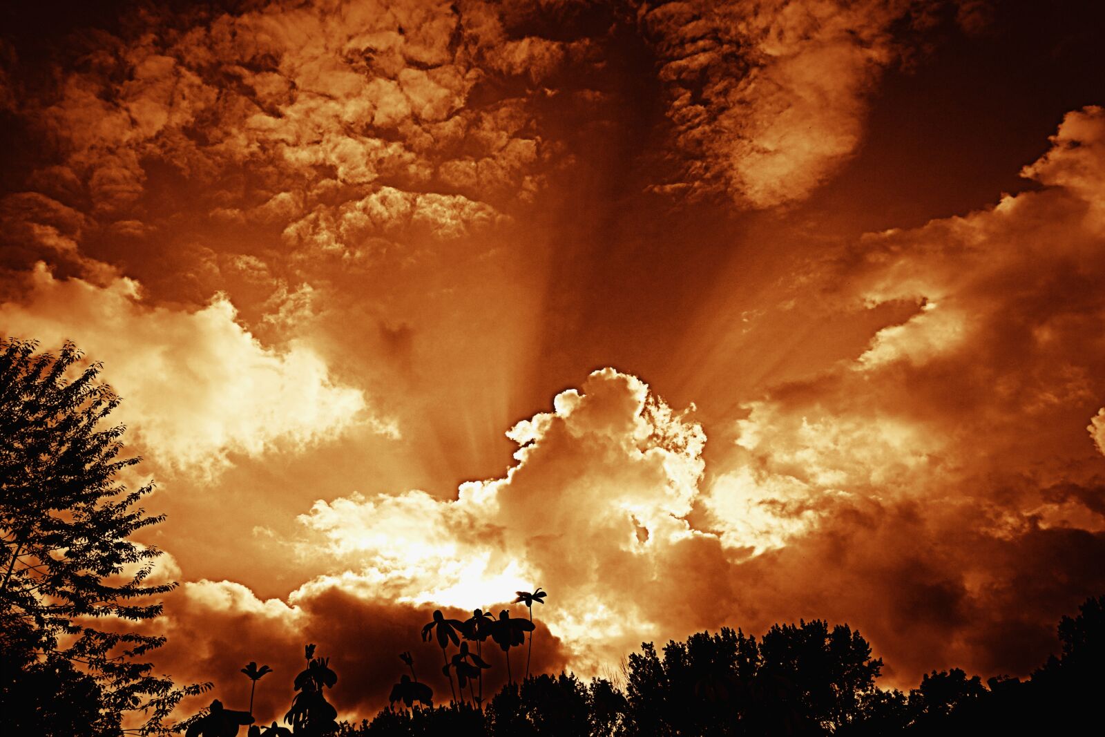 Sony Cyber-shot DSC-RX100 sample photo. Sunset, sky, clouds photography