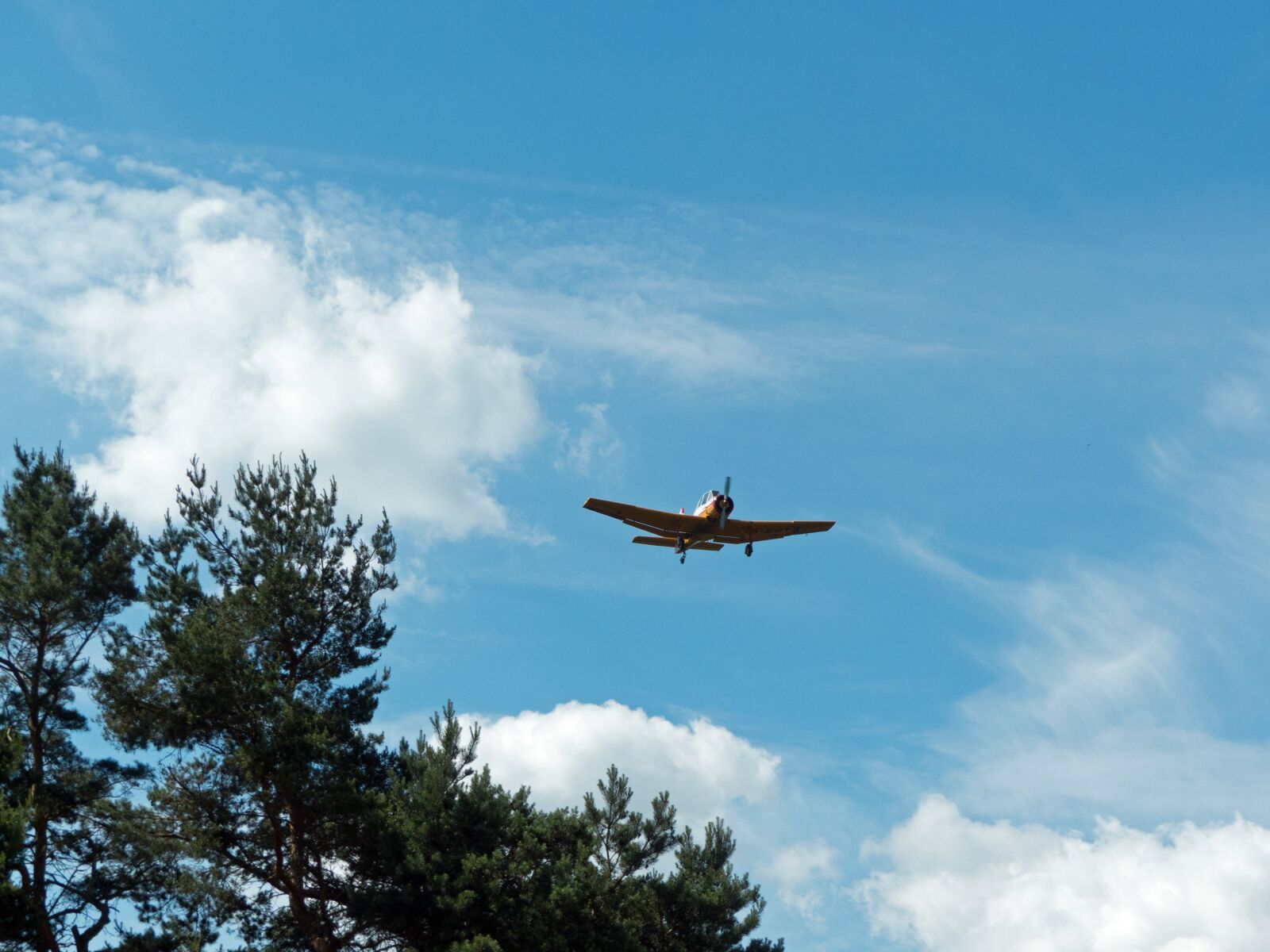Panasonic Lumix DMC-FZ200 sample photo. Z37, coach, aircraft photography