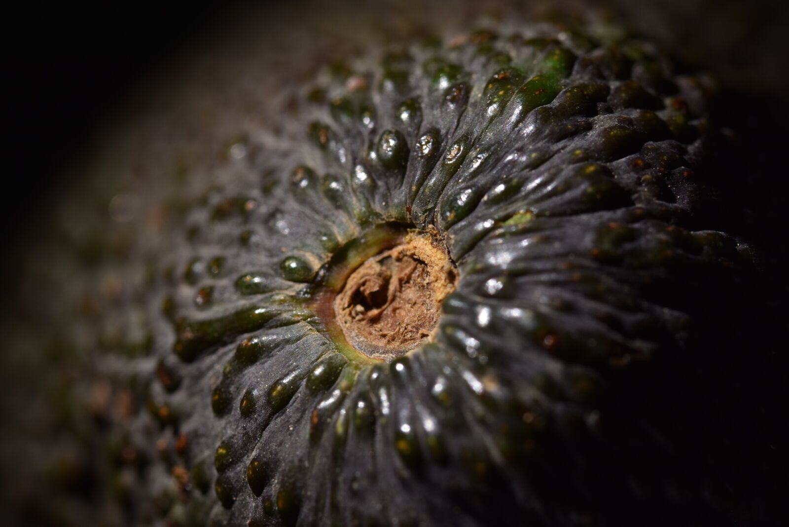 Nikon D5500 sample photo. Food, dinner, salad photography
