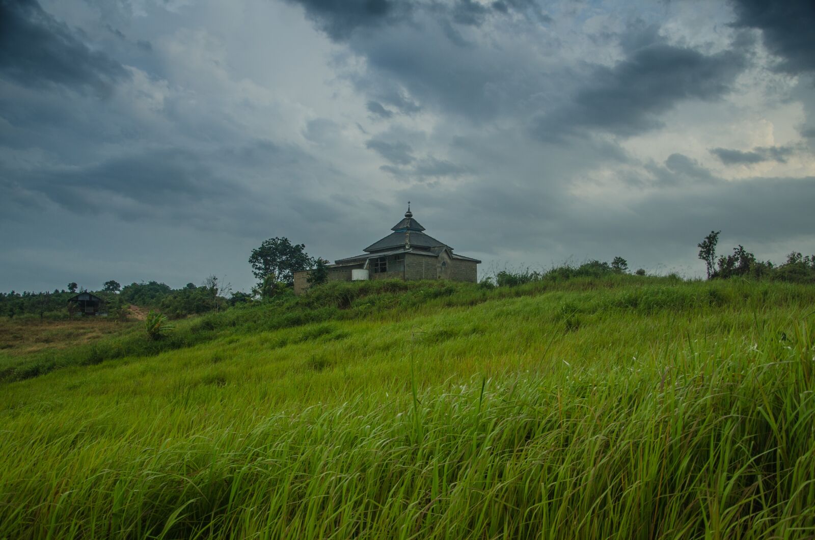 Nikon D7000 sample photo. Grass, village, kampung photography