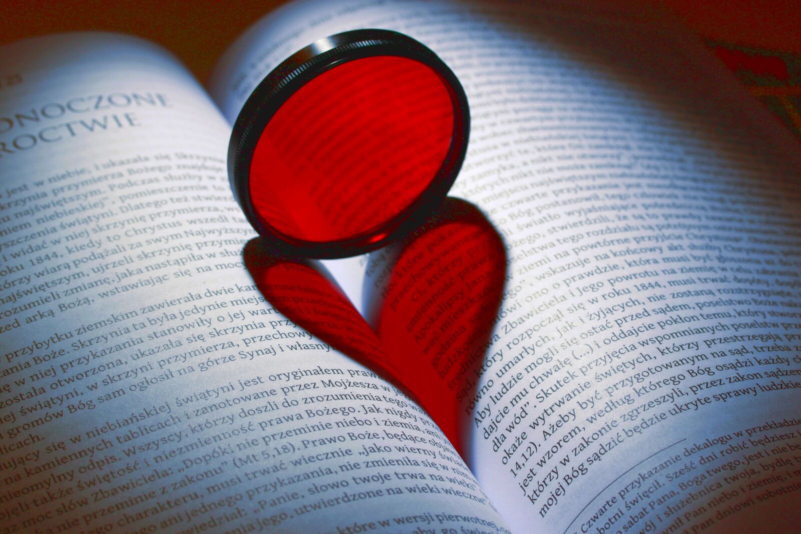 Canon EOS 500D (EOS Rebel T1i / EOS Kiss X3) sample photo. Heart, book, literature photography