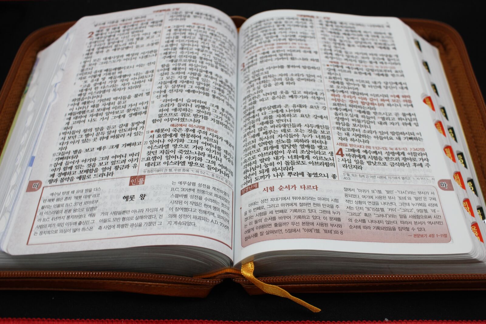 Canon EOS 550D (EOS Rebel T2i / EOS Kiss X4) sample photo. The bible, holly bible photography