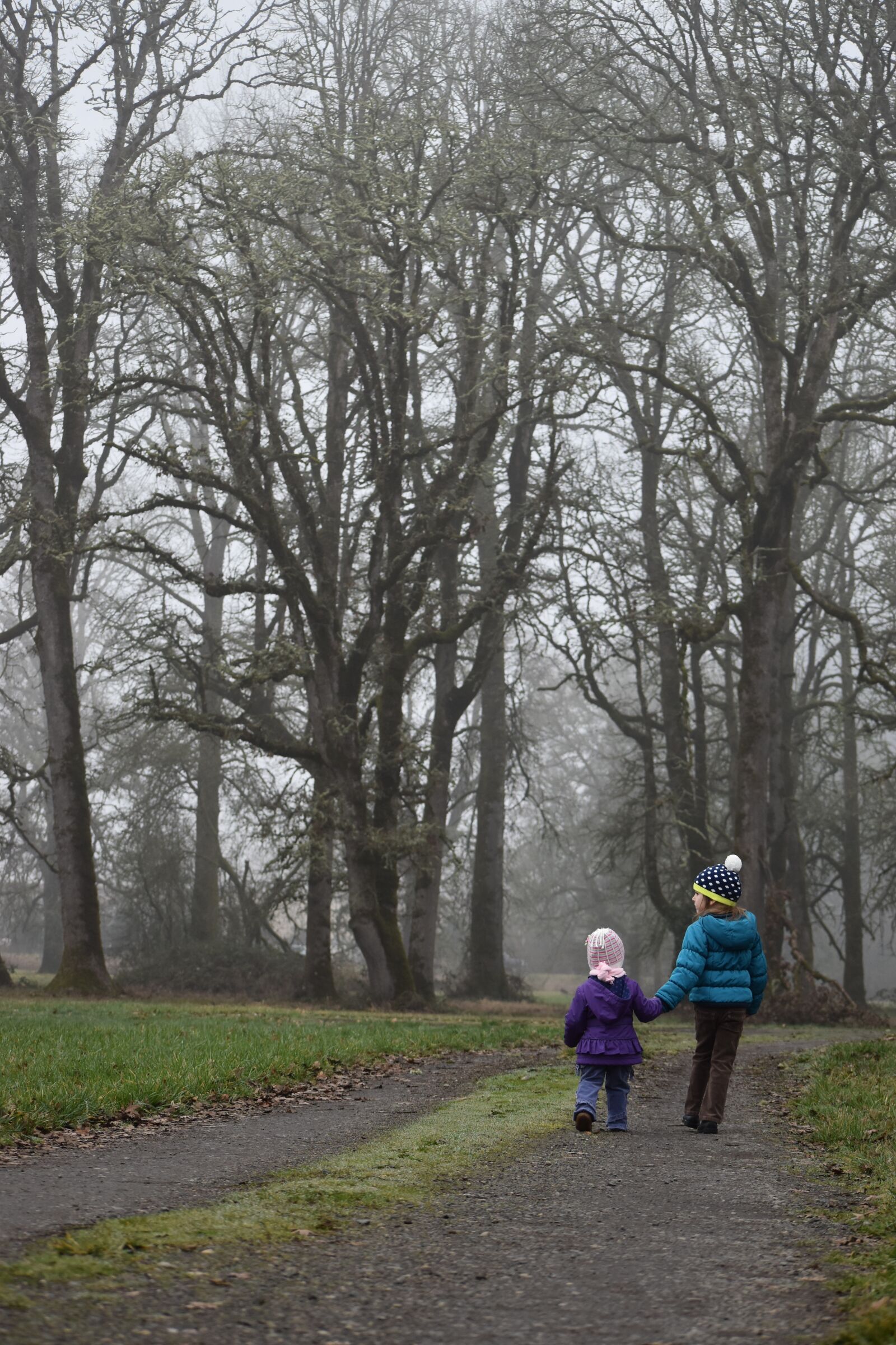 Nikon D3500 sample photo. Kids, girls, walking photography